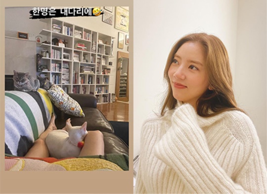 손담비 스토리