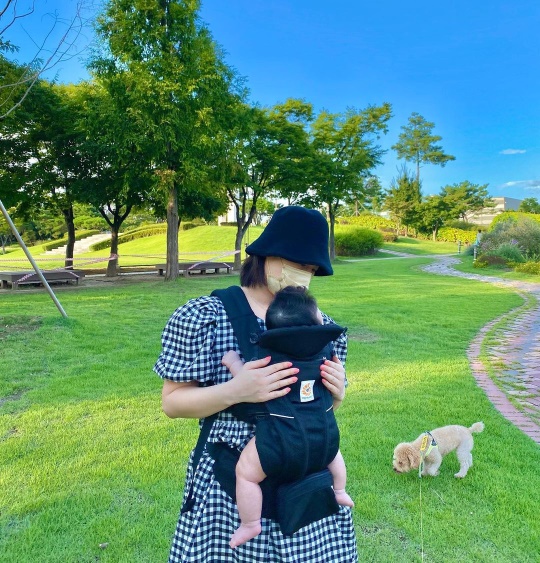 나비 인스타그램