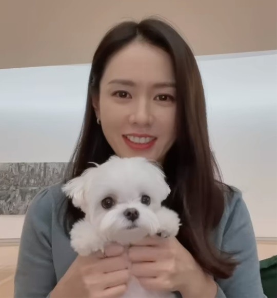 손예진 인스타