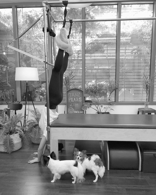 예리 인스타그램
