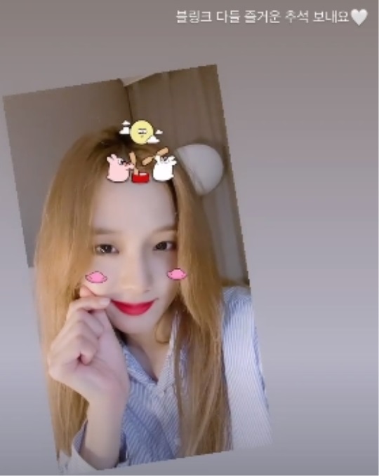 지수 인스타 스토리