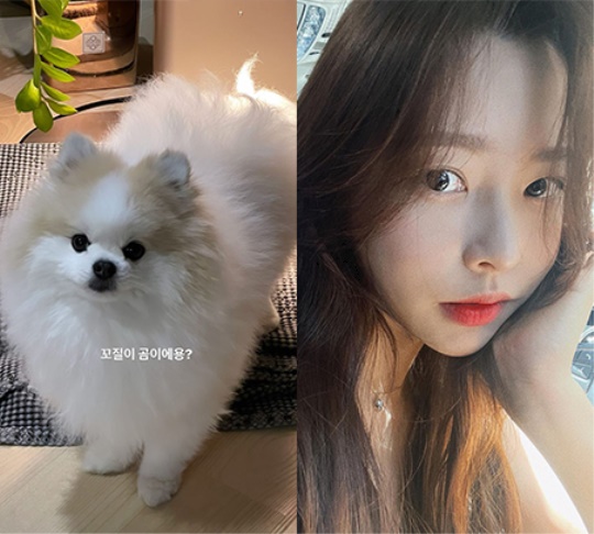 이솔이 스토리