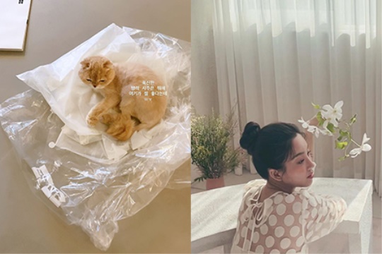 려원 스토리