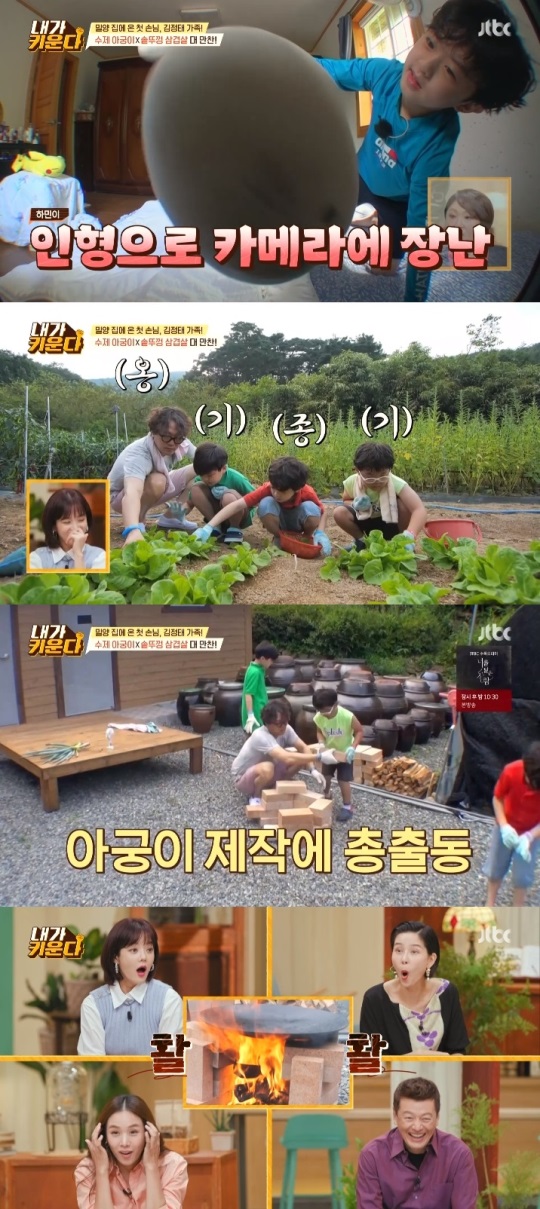 JTBC '내가 키운다' 방송캡쳐