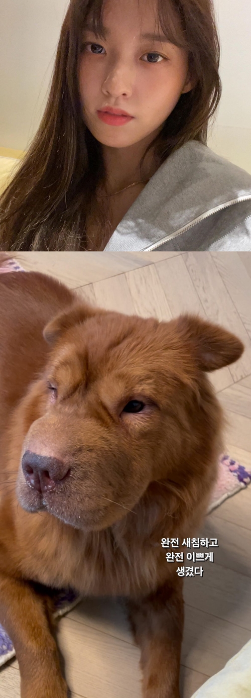 사진=설현 인스타그램
