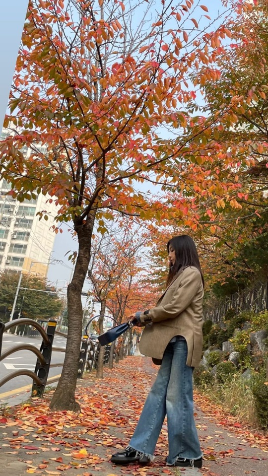 황신혜 스토리