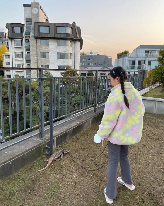 정시아 인스타그램