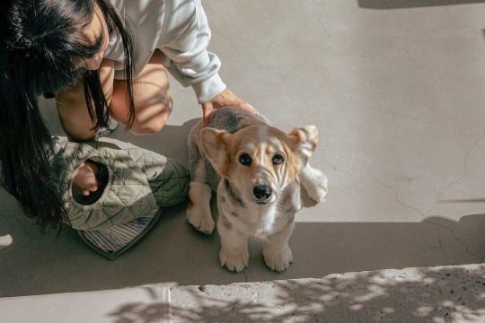 윤승아 인스타그램