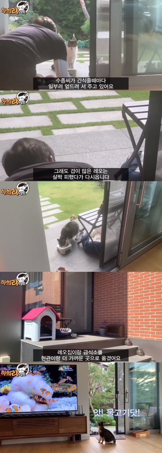 하희라 유튜브 채널 영상 캡처
