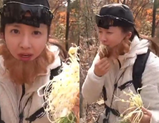 이시영 인스타