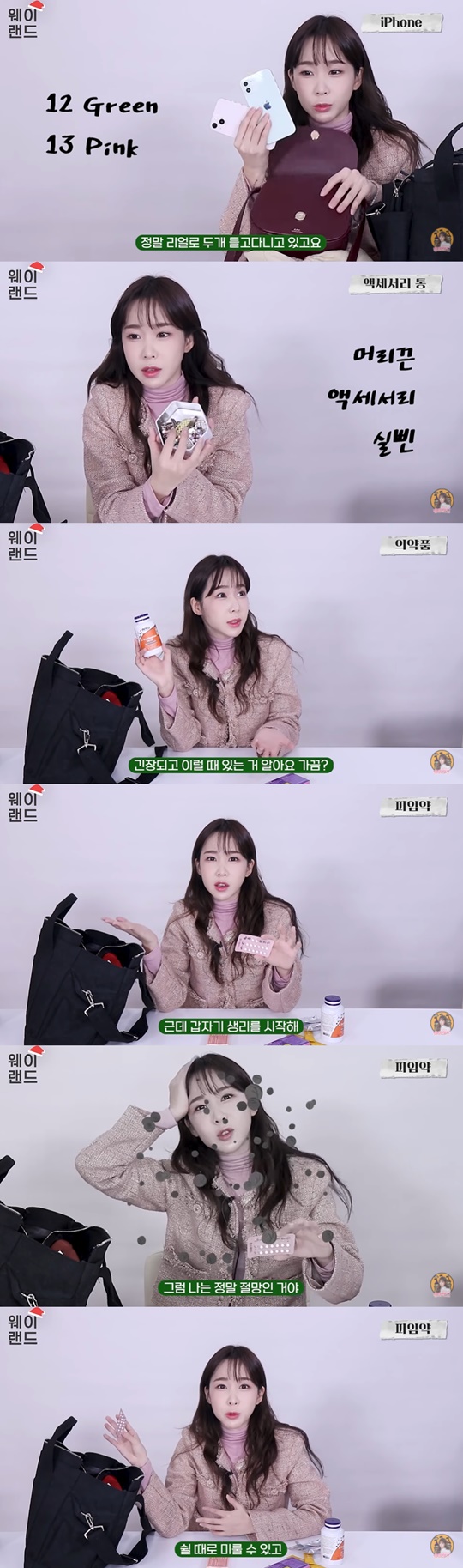 사진='웨이랜드' 유튜브 영상