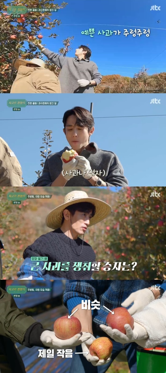 JTBC '시고르 경양식' 캡처