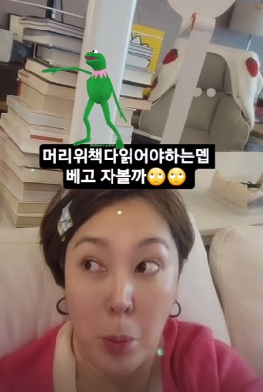 이승연 인스타 스토리