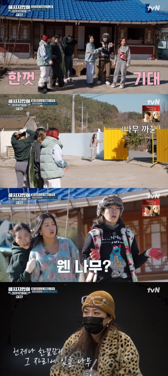 tvN '해치지않아X스우파' 방송캡쳐