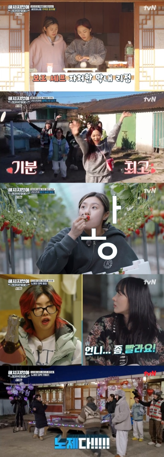 tvN '해치지않아X스우파' 방송캡쳐