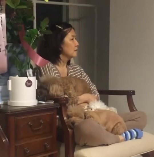이성미 인스타
