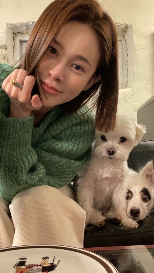 아이비 인스타그램 스토리
