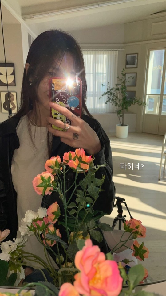 윤혜진 인스타그램 스토리