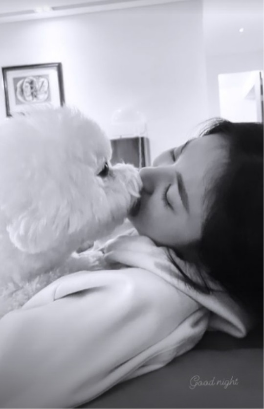 송혜교 인스타 스토리