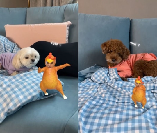 류이서 인스타