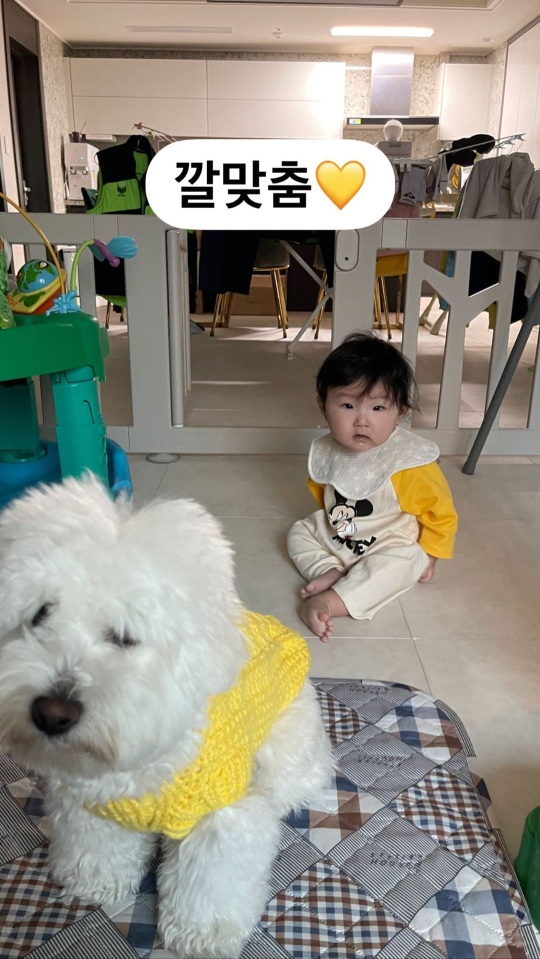 배윤정 인스타그램 스토리