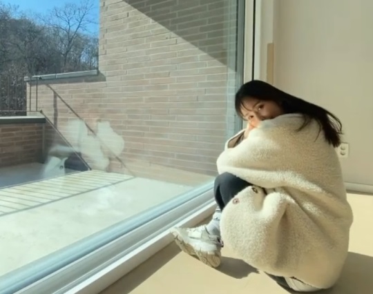 안혜경 인스타