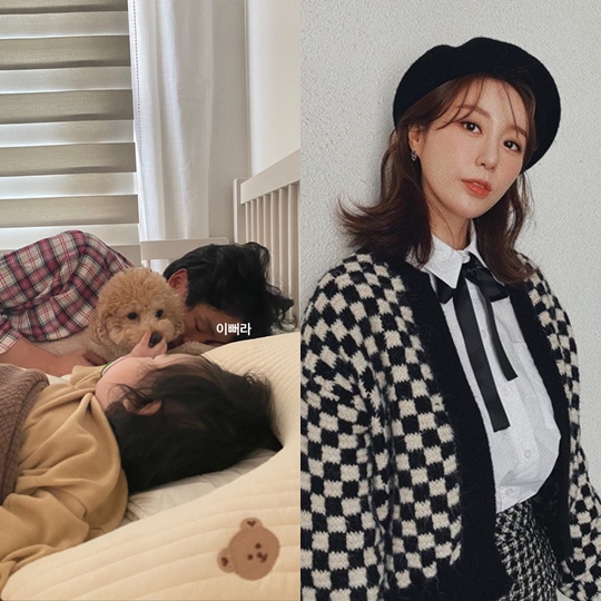나비 인스타그램 스토리