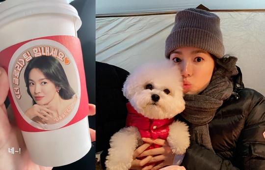 송혜교 인스타그램