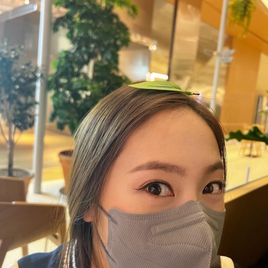 정수정 인스타그램