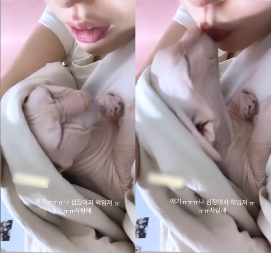 김선아 인스타