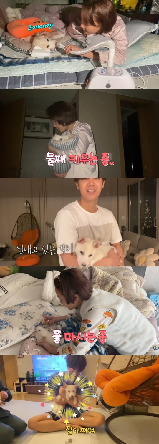 유튜브 캡처
