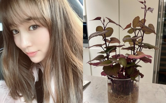 이민정 인스타