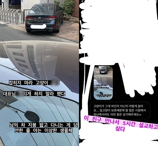 스윙스 인스타
