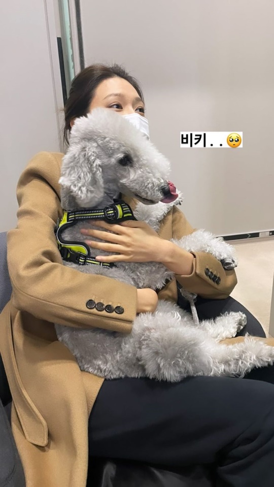 최수영 인스타그램