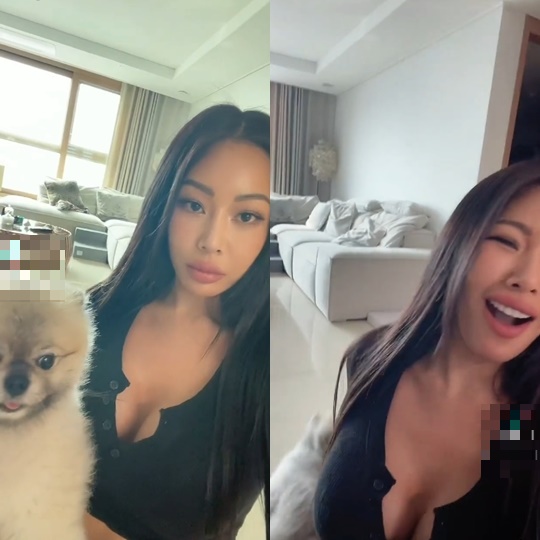 제시 반려견 인스타그램