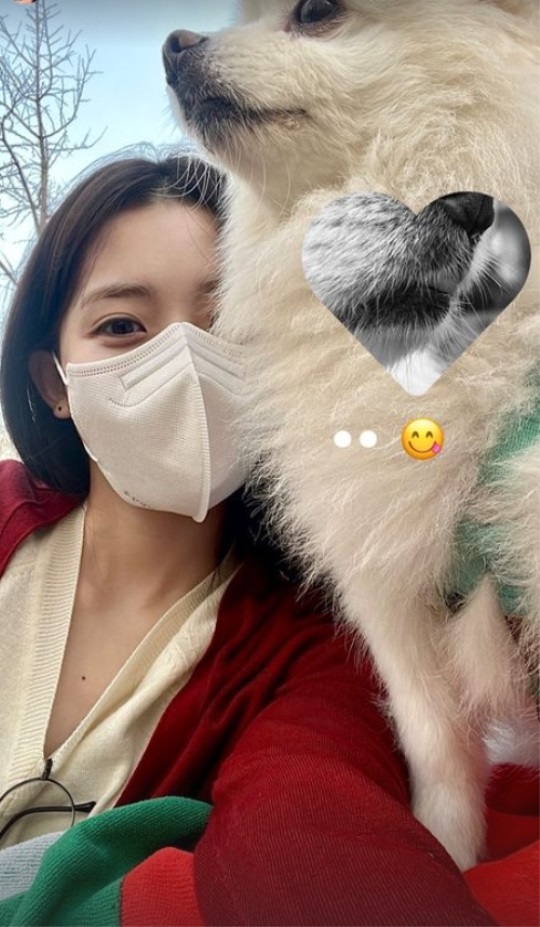 정다빈 인스타 스토리