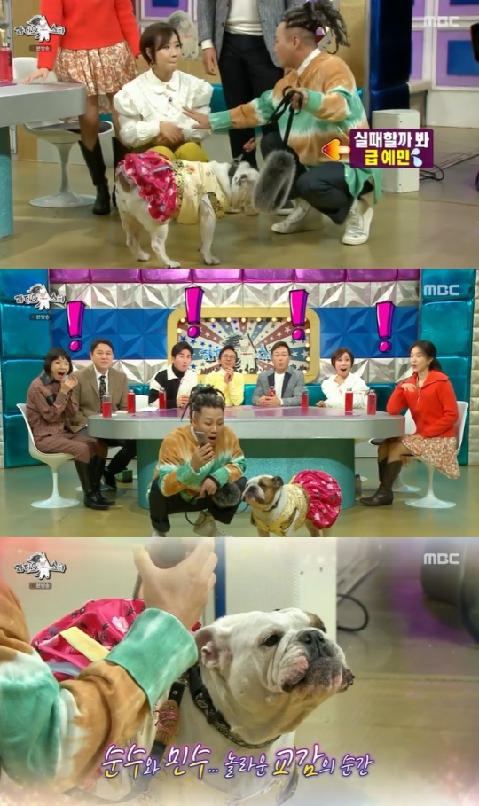 사진=SBS 방송 화면 캡쳐