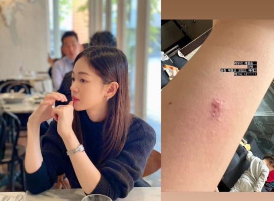 김보미 인스타그램