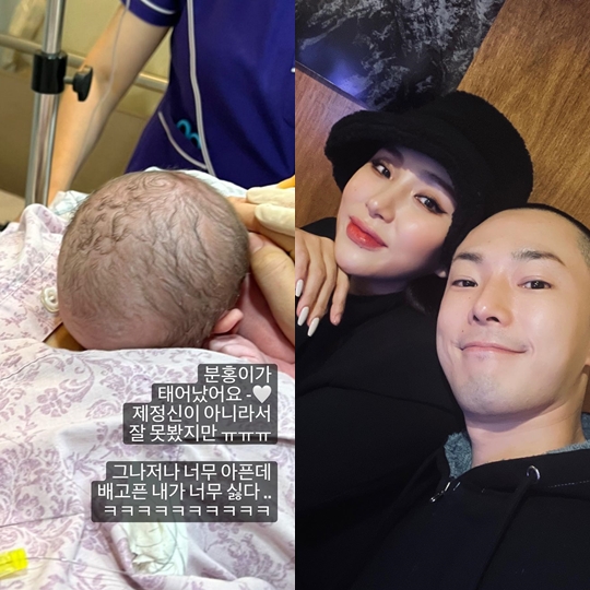 자이언트핑크 인스타그램 스토리