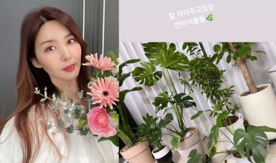 박솔미 인스타그램