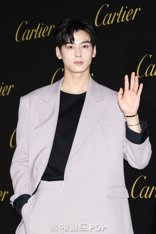 차은우/사진=헤럴드POP DB