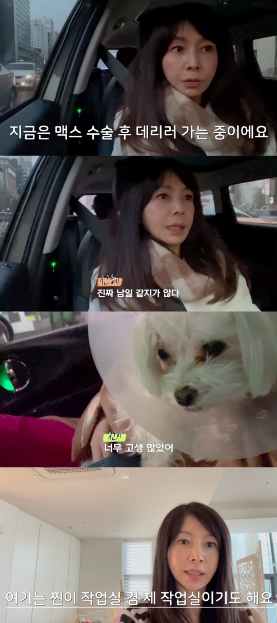 황신혜 유튜브 캡처