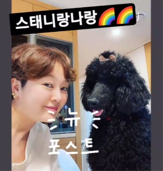이승연 인스타그램 스토리