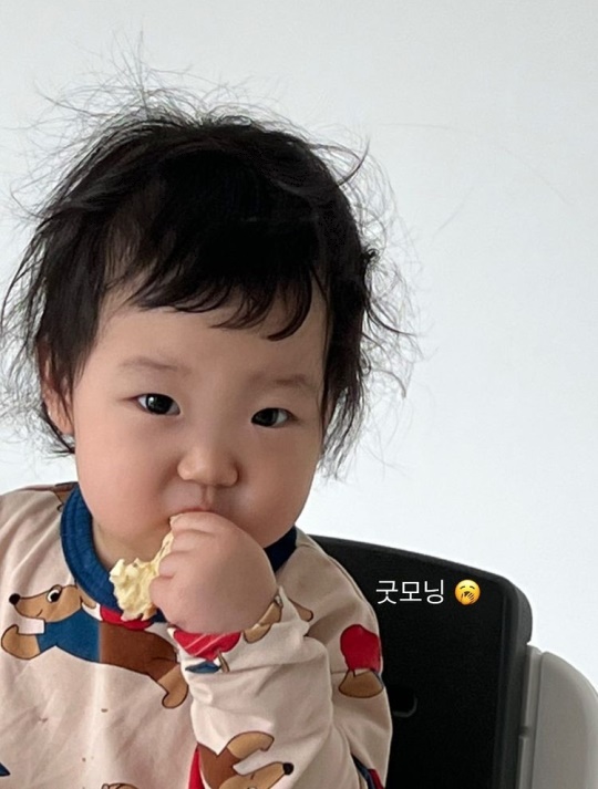 최희 인스타그램 스토리