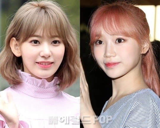 미야와키 사쿠라, 김채원/사진=헤럴드POP DB