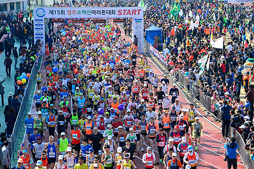 소백산마라톤대회에 참가한 달리미들이 출발 신호에 맞춰 힘차게 달려나가고 있다. (영주시 제공 )