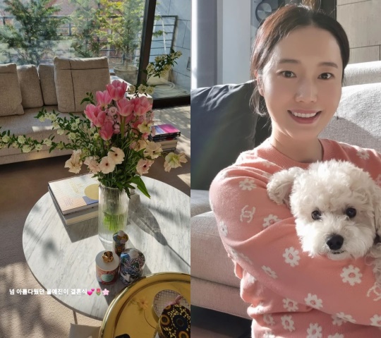 이정현 인스타 스토리
