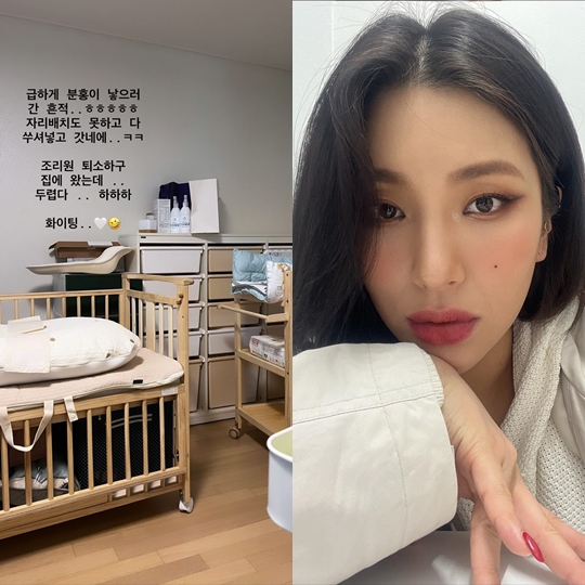 자이언트핑크 인스타그램 스토리