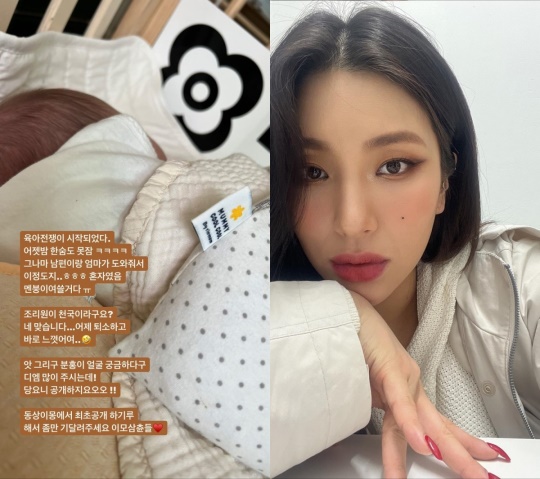 자이언트 핑크 인스타