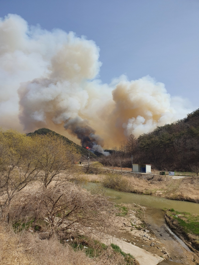 봉화읍 화천리 한 야산에서 발생한 산불이 확산되고 있다. (봉화군 제공)